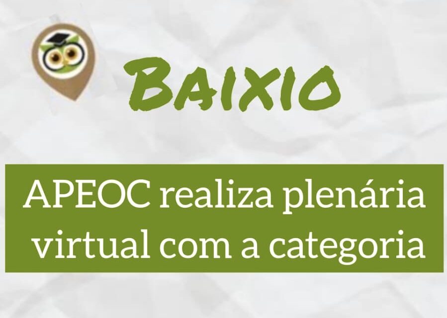 BAIXIO: APEOC REALIZA PLENÁRIA VIRTUAL COM A CATEGORIA