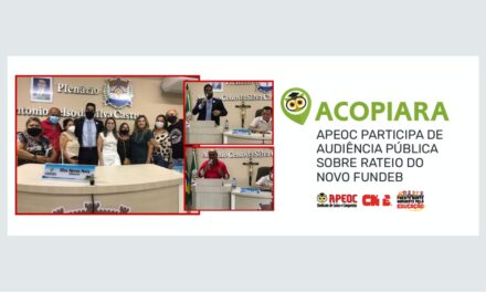 ACOPIARA: APEOC PARTICIPA AUDIÊNCIA PÚBLICA SOBRE RATEIO DO NOVO FUNDEB